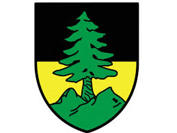 logoleysin